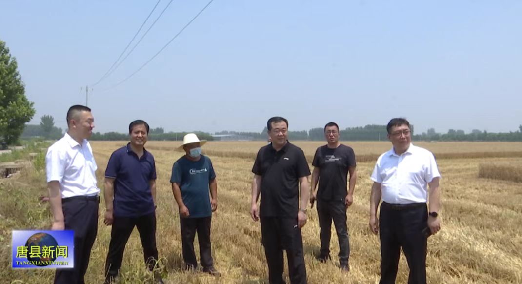 县长孟辉到南店头乡调研"三夏"生产情况