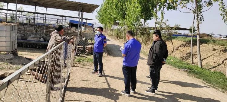 唐县罗庄镇全力推进肉羊整改提升工作